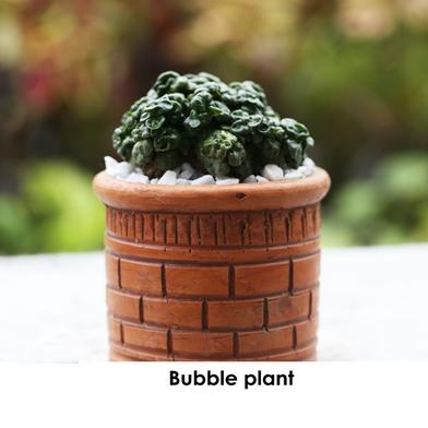 Brikkho Hat Bubble Plant Papos With 5 inch clay pot image