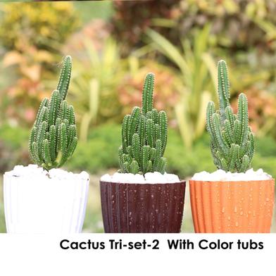 Brikkho Hat Cactus Tri Set - 2 ( White, Chocolate, Orange) image