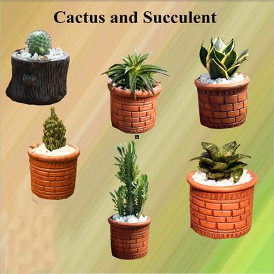 Brikkho Hat Cactus and Succulent Set-1 ( Snake yellow, Snake green, Special Ball Cactus, Star cactus, African Milk tree, Fairy castle cactus) image