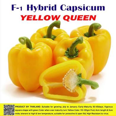 Naomi Seed Capsicum Yellow Queen - .5 gm image