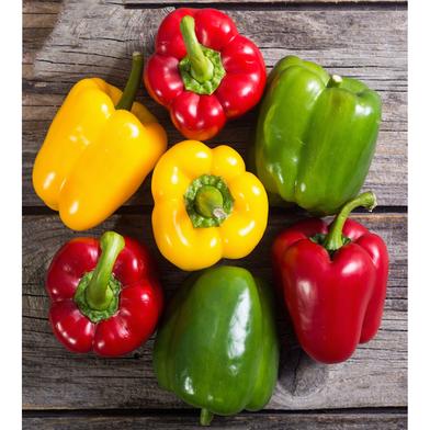 Capsicum Seed image