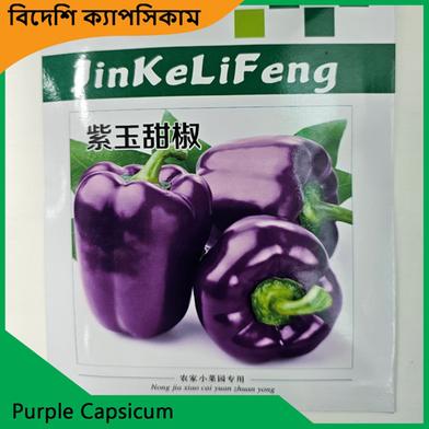 Capsicum Seeds- Purple Capsicum image