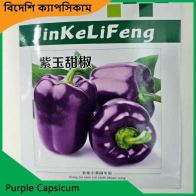 Capsicum Seeds- Purple Capsicum image