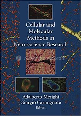 Cellular and Molecular Methods in Neuroscience Research image