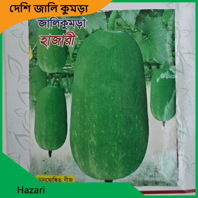 Chal Kumra Seeds image