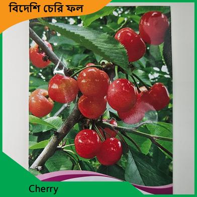 Cherry Fruit Seeds image
