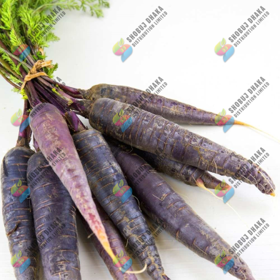 Chinese Black Wonder Carrot Seeds 0.1gm Re-Pack image