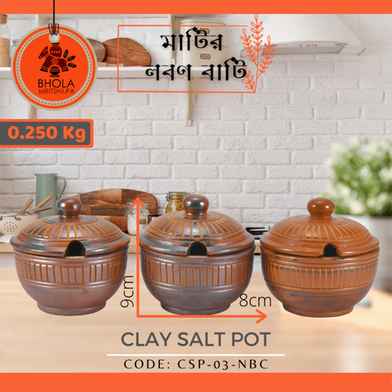 Clay Salt Pot - 1Pcs image