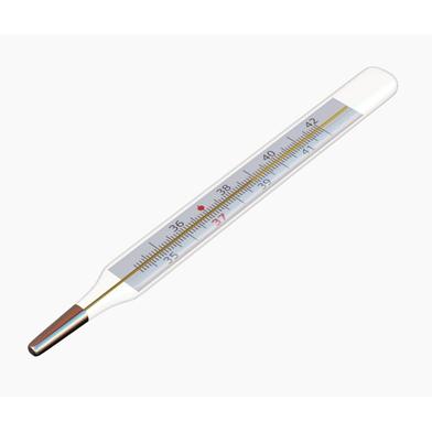 Toshiba Clinical Thermometer 1 Pcs image