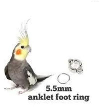 Cockatile Bird Anklet/ Leg Ring for Pet Bird Accessories image