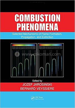 Combustion Phenomena