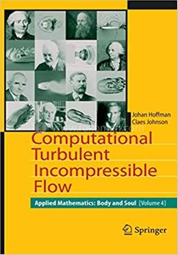 Computational Turbulent Incompressible Flow image
