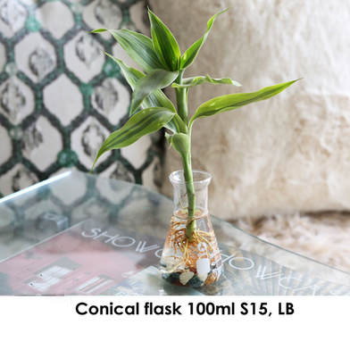 Brikkho Hat Conical Flask (100ml) with Lucky Bamboo image