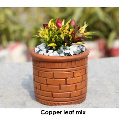 Brikkho Hat Copper Leaf Mix image