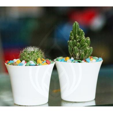 Brikkho Hat Couple Cactus Combo image