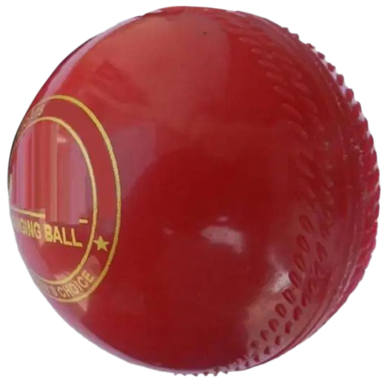 Cricket Hanging Ball image