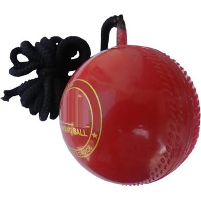 Cricket Hanging Ball image