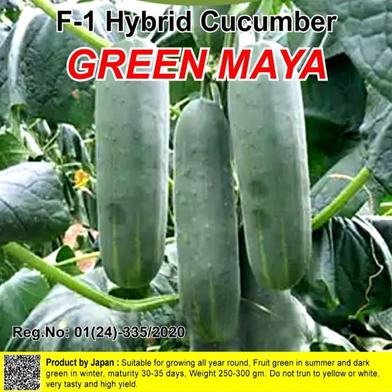 Naomi Seed Cucumber Green Maya - 1 gm image