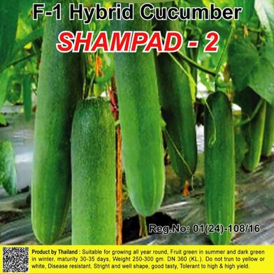 Naomi Seed Cucumber Shampad -2 - 1 gm image