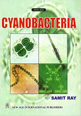 Cyanobacteria image