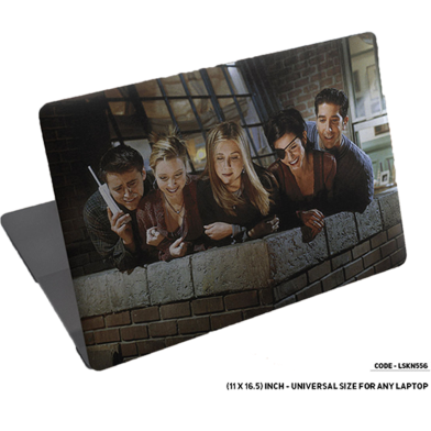DDecorator Looking Down Friends Laptop Sticker image