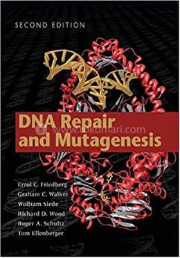 DNA Repair and Mutagenesis image