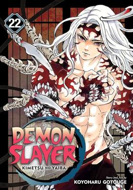 Demon slayer 22 image