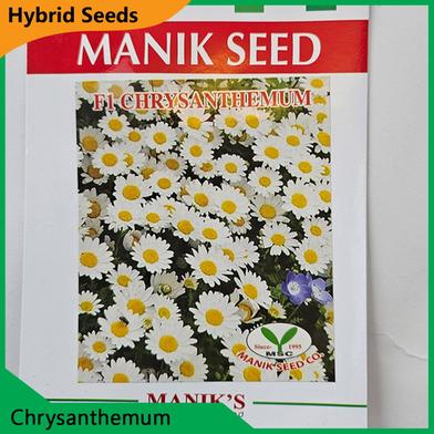 Deshi Flower Seeds- Chrysanthemum image