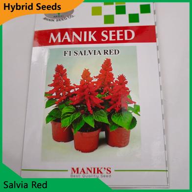 Deshi Flower Seeds- Salvia Red image