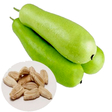 Deshi Lau (Bottle Gourd ) Re-Pack - 10 Seeds image