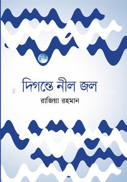 দিগন্তে নীল জল image