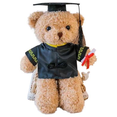 Dr. Bear Soft Doll (Any Color) image