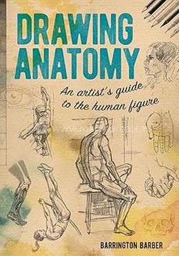 Drawing Anatomy image