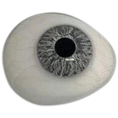 Dreamgirls Venice Gray Color Contact Lens image