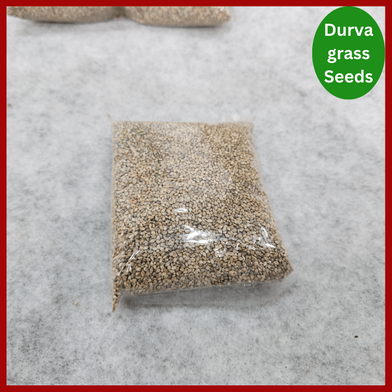 Durva Grass Seeds- 1000gm image