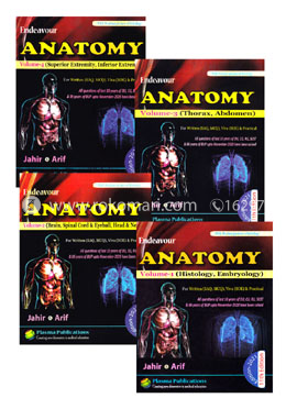Endeavour Anatomy (Set of Vols 1, 2, 3, 4) image