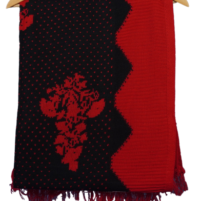 Exclusive Winter Collection Zesika Kashmiri Wollen Shawl image