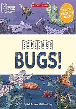 Explorer Bugs!