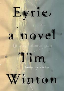 Eyrie: A Novel image
