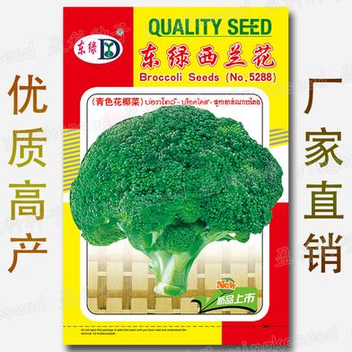 F1 Hybrid Broccoli Seeds For Gardening image