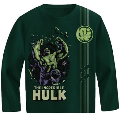 Fabrilife Kids Premium Full Sleeve T-Shirt - Hulk image