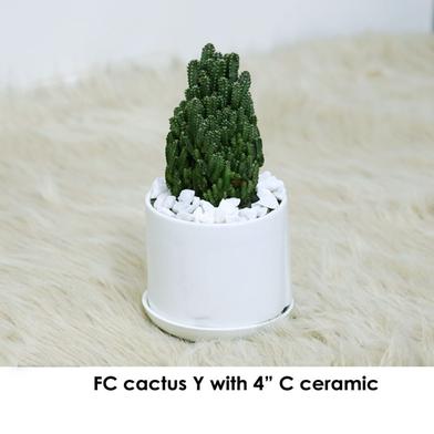 Brikkho Hat Fairy Castle Cactus With Ceramic image