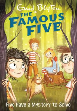 Five Have a Mystery to Solve - Book 20 image