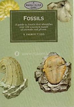 Fossils image