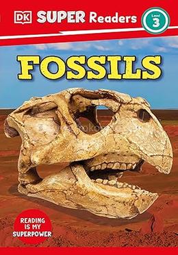 Fossils : Level 3 image