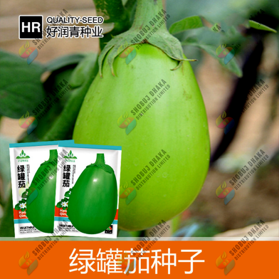 Giant Green Round Eggplant Seeds - 10pcs image