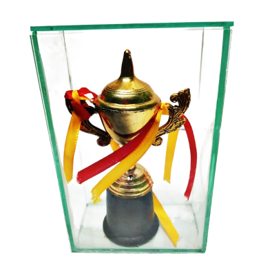 Glass and Plastic Cricket Mini Trophy image