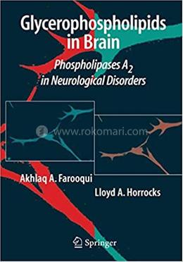 Glycerophospholipids in the Brain image