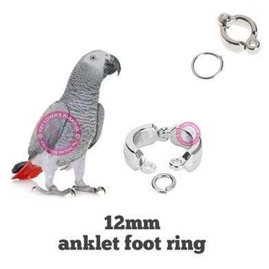 Gray Parrot Bird Anklet/ Leg Ring for Pet Bird Accessories image
