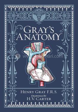 Gray's Anatomy image